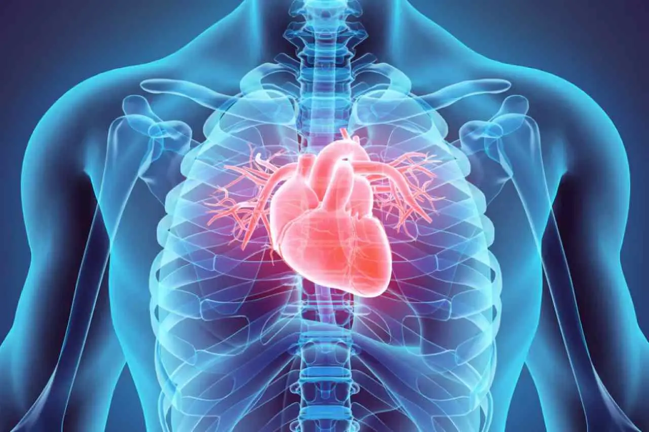Bevanda naturale per rinforzare il cuore e pulire le arterie