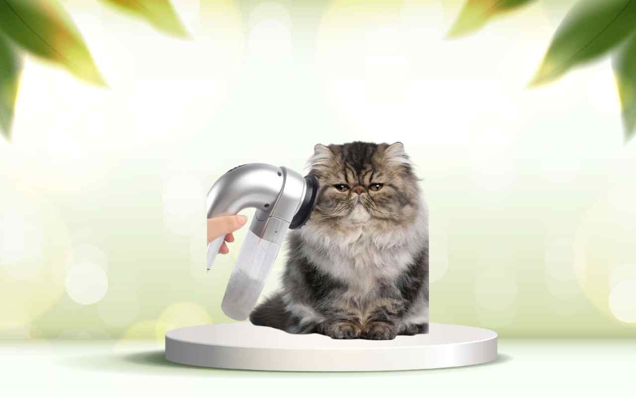 Dì addio ai peli in casa: scopri SpazzolAmica per una pulizia rapida e delicata